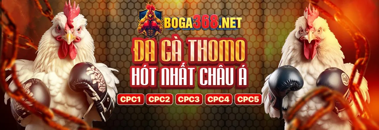 Đá Gà Trực Tuyến King88 Nhà Cái